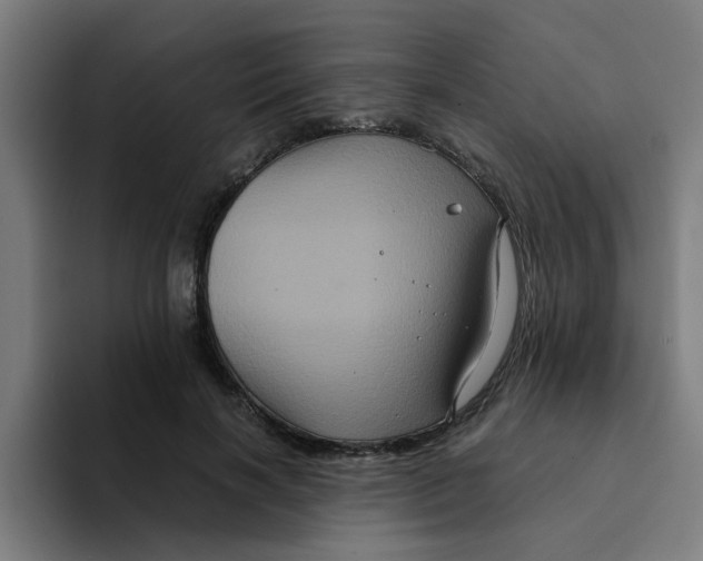 X0000094220646200711161850