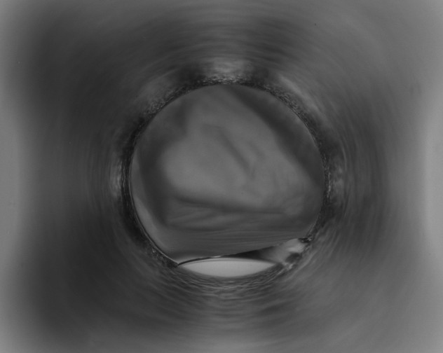 X0000094220647200711161850