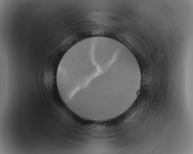 X0000094220648200711161850