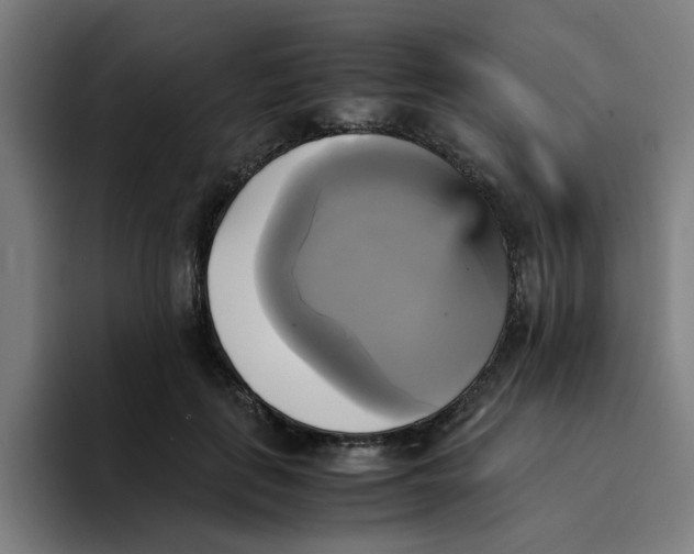 X0000094220651200711161850