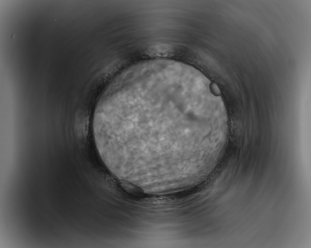 X0000094220652200711161850