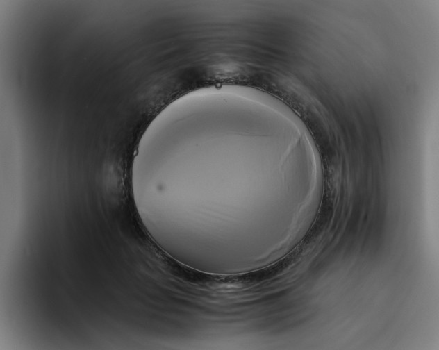 X0000094220653200711161850