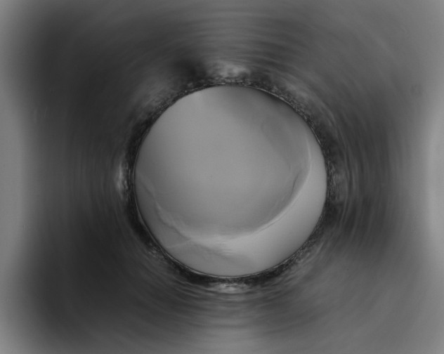 X0000094220654200711161850