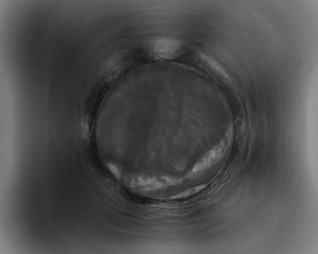 X0000094220655200711161850