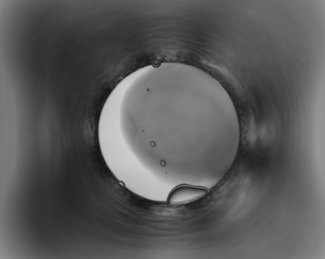 X0000094220661200711161850