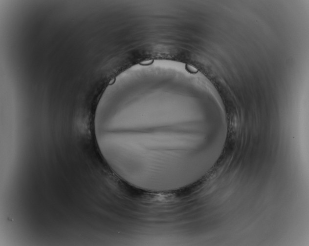 X0000094220663200711161850