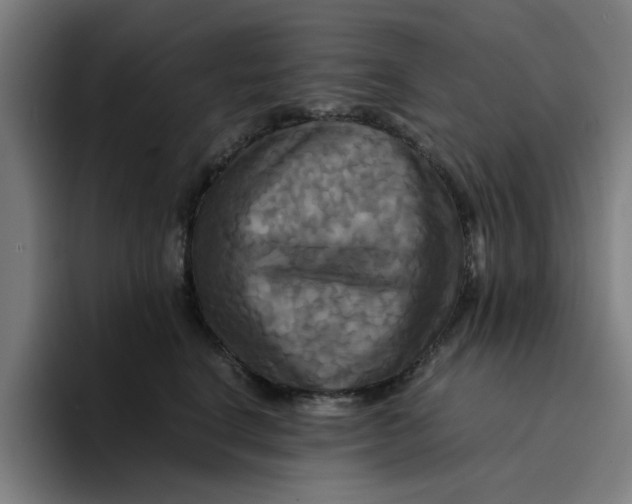 X0000094220664200711161850