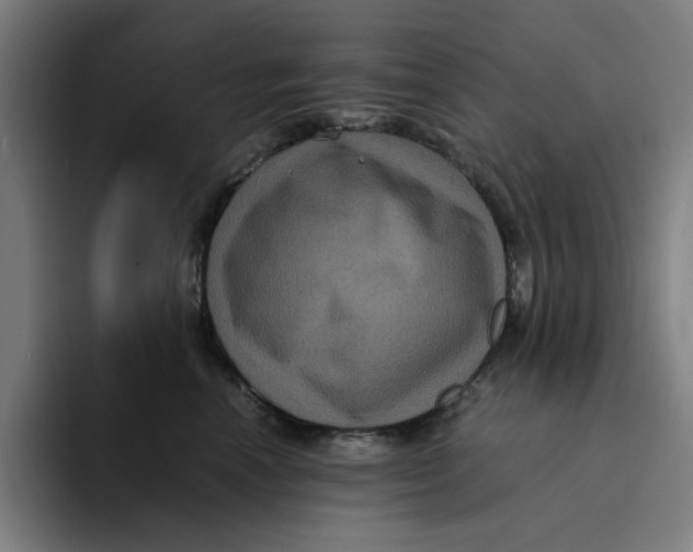 X0000094220666200711161850