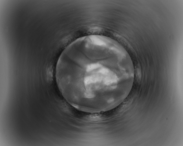 X0000094220668200711161850