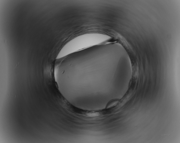 X0000094220669200711161850