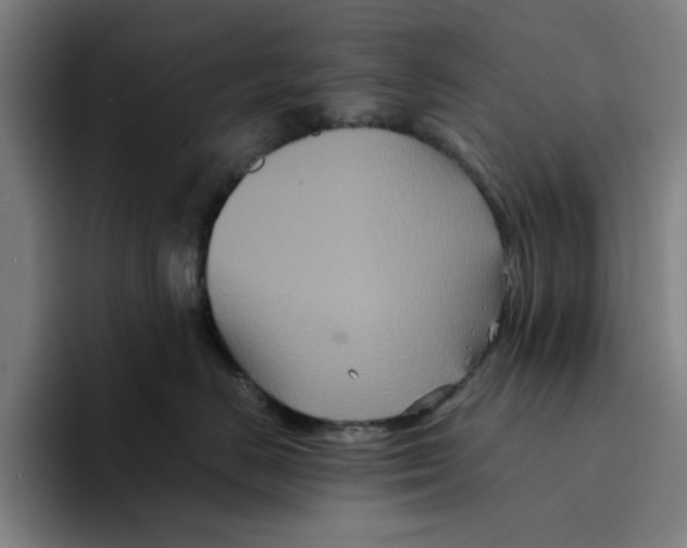 X0000094220670200711161850