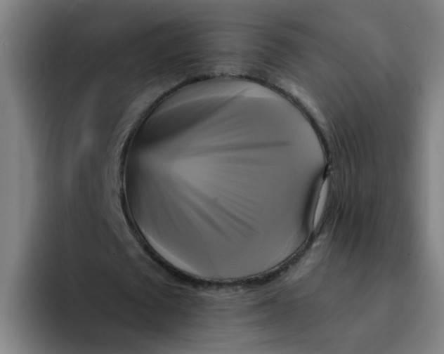 X0000094220673200711161849