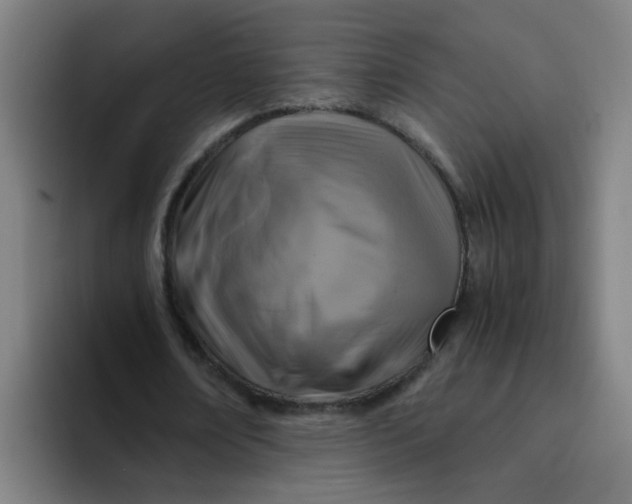 X0000094220674200711161849