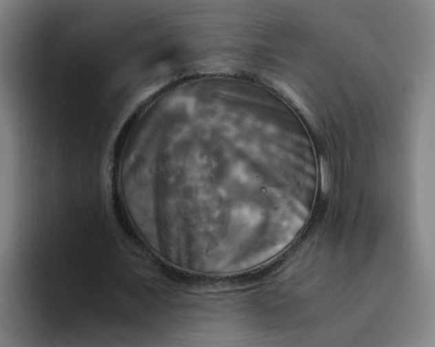 X0000094220675200711161849