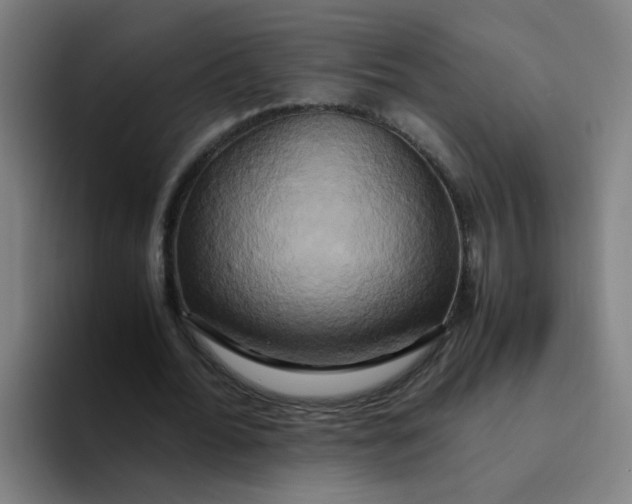 X0000094220676200711161849