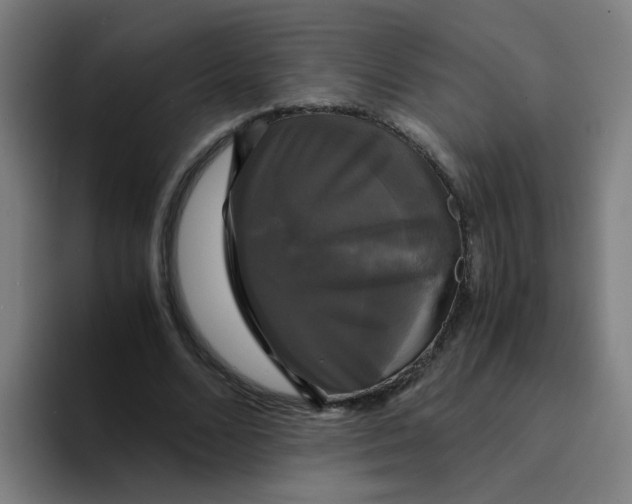 X0000094220680200711161849