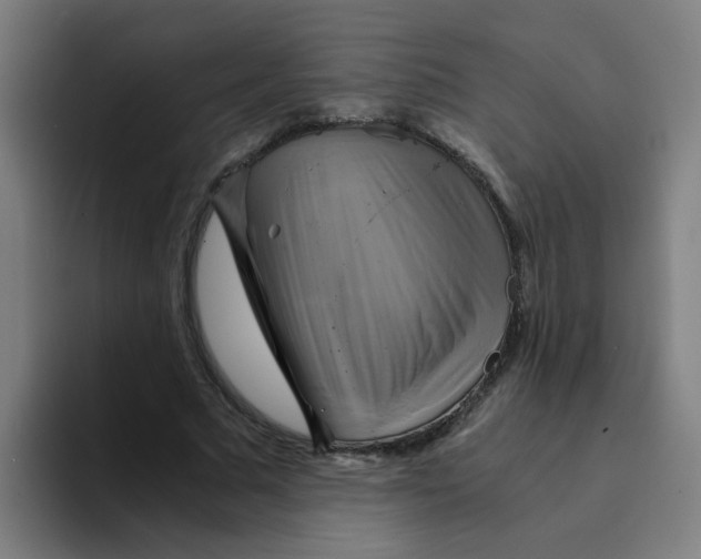 X0000094220681200711161849