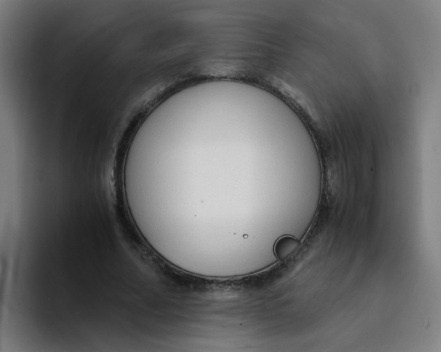 X0000094220682200711161849