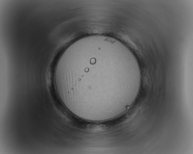 X0000094220683200711161849