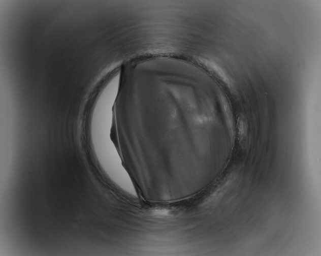 X0000094220684200711161849