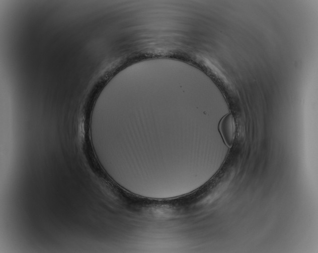 X0000094220685200711161849