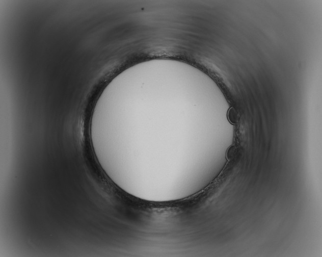 X0000094220686200711161849