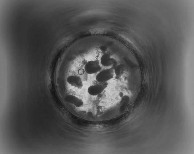 X0000094220687200711161849