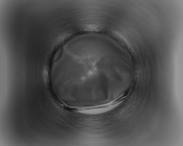 X0000094220688200711161849