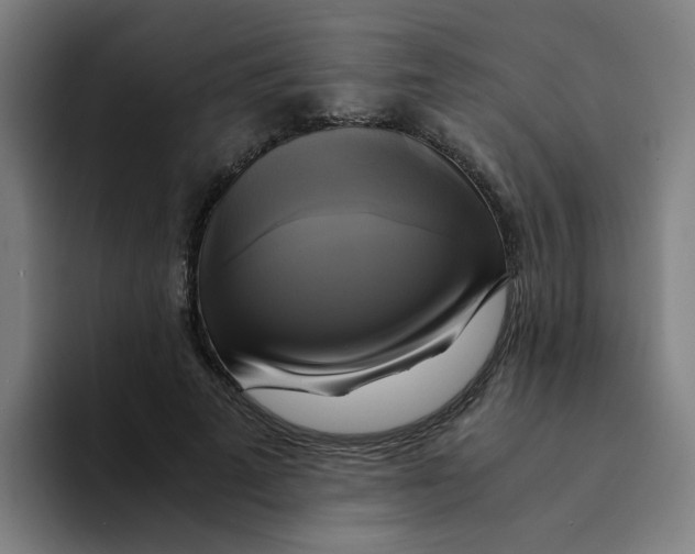 X0000094220689200711161849