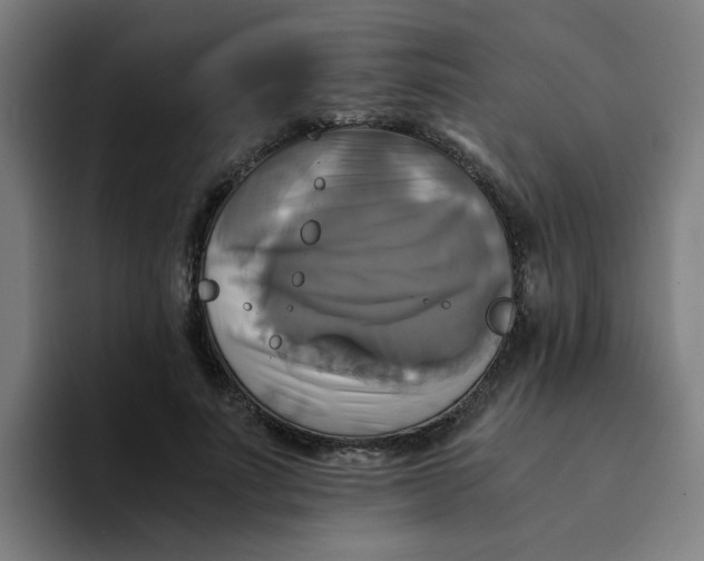 X0000094220691200711161849