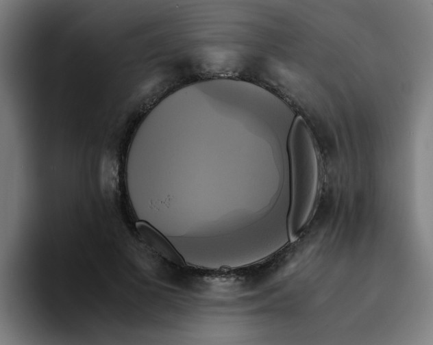 X0000094220693200711161849