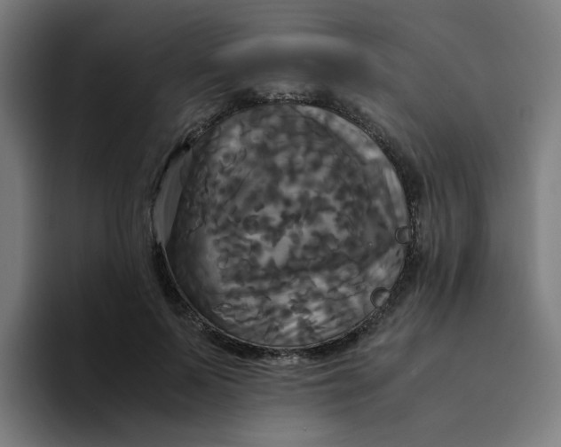 X0000094220695200711161849