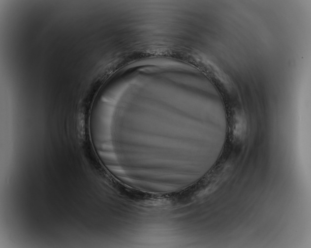 X0000094220696200711161849