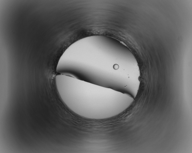 X0000094220697200711161849