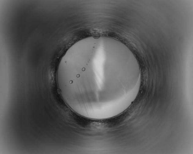 X0000094220699200711161849