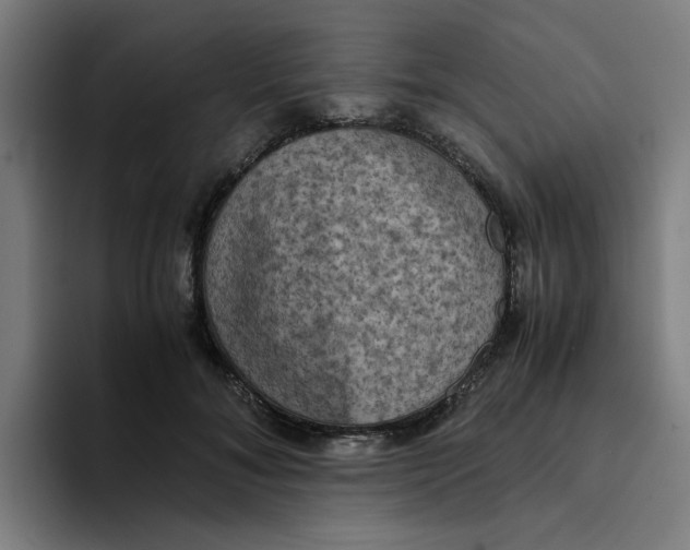 X0000094220700200711161849