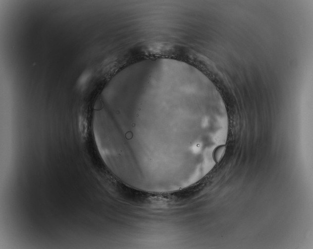 X0000094220703200711161849