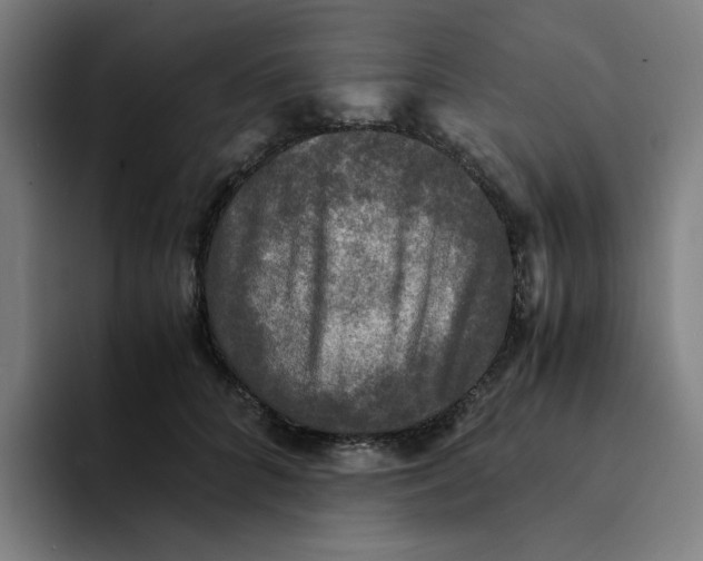 X0000094220704200711161849