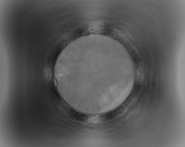 X0000094220705200711161849