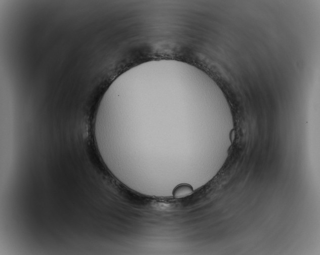 X0000094220706200711161849