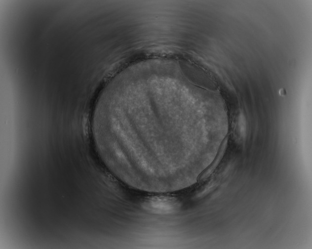 X0000094220708200711161849