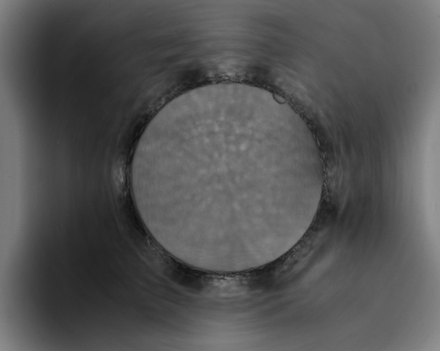 X0000094220709200711161849