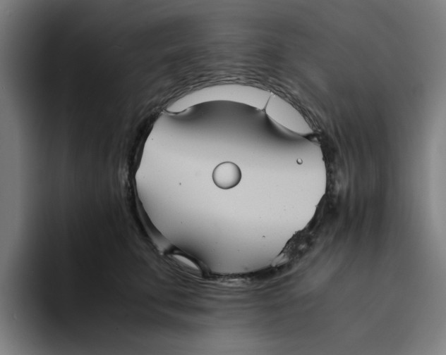 X0000094220711200711161849