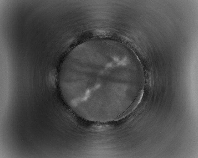 X0000094220712200711161849