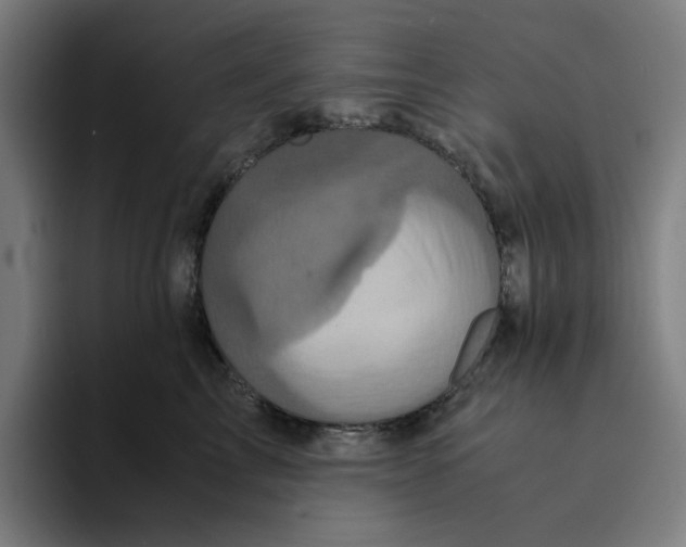 X0000094220713200711161849