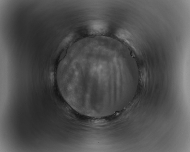 X0000094220716200711161849