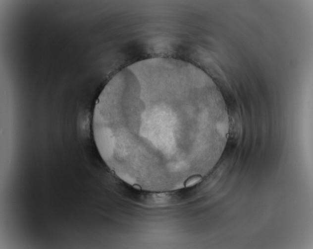 X0000094220717200711161849