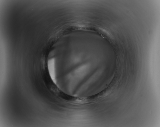 X0000094220720200711161849