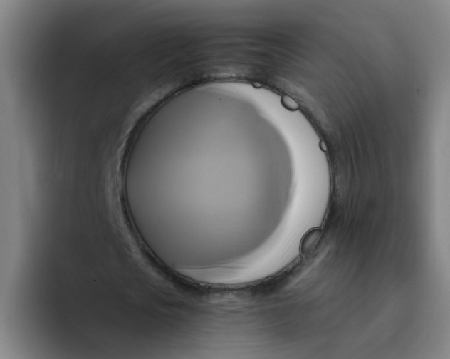 X0000094220721200711161848