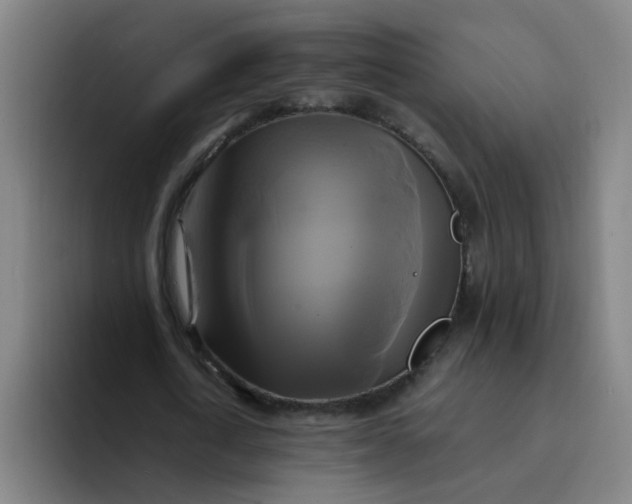 X0000094220722200711161848